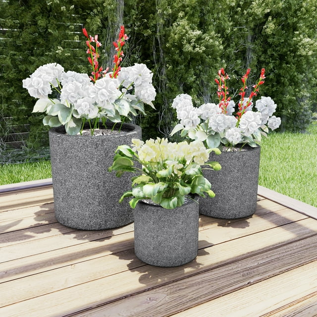 Galvanized Steel gardening Buckets with plants placed in sunlight