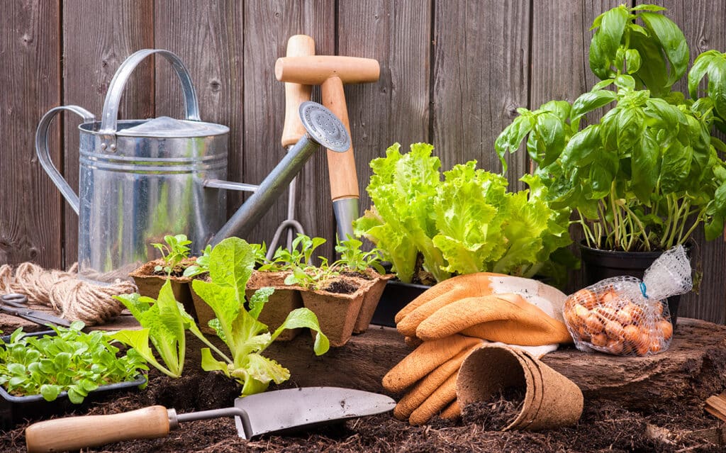 Essential Gardening Tools in a backyard