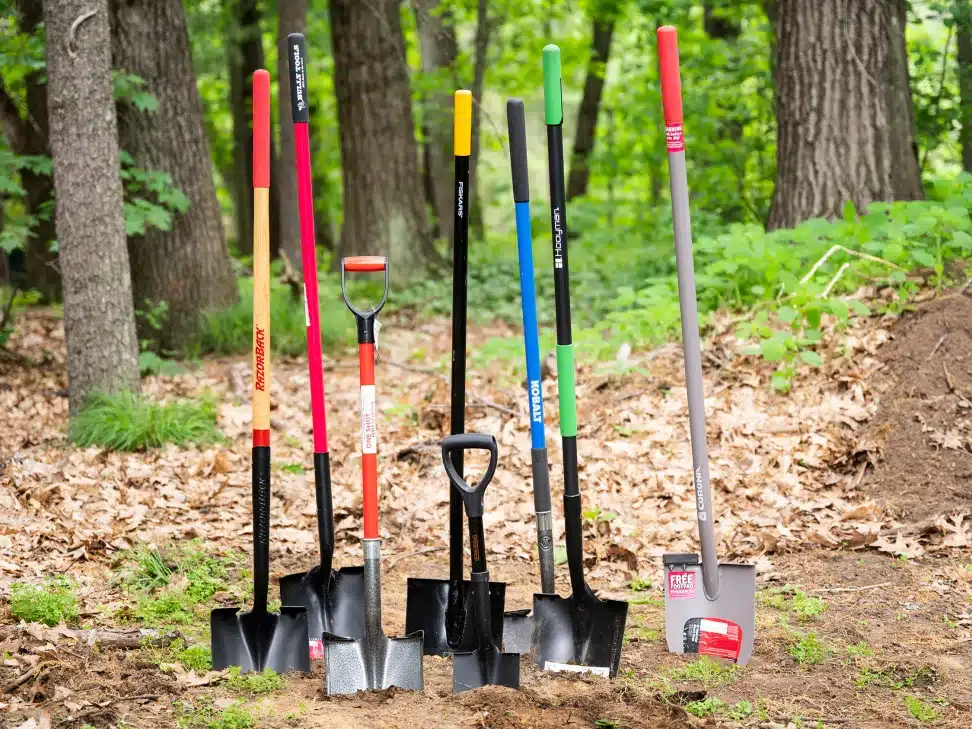 variety of Shovels in a forest