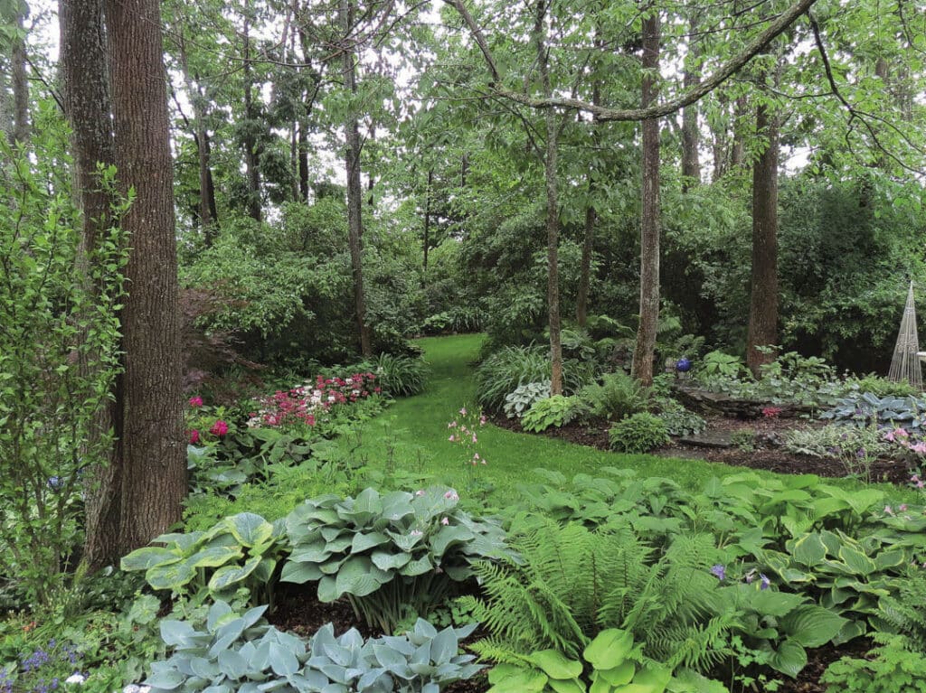 Full Bloomed Forest Garden with tall trees, herbs and flowers