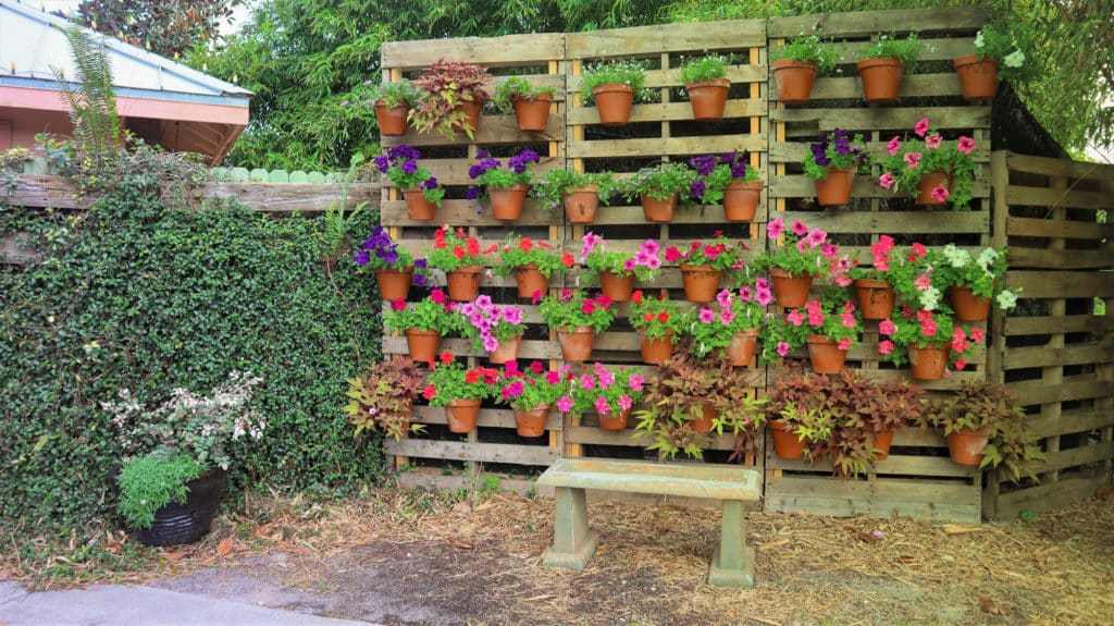 Vertical Pallet boards decorated with hanging pots of flowers and herbs