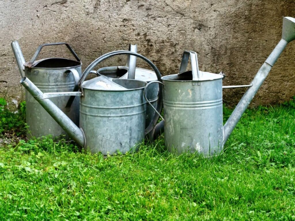 Watering Cans or Hose placed in a backyard