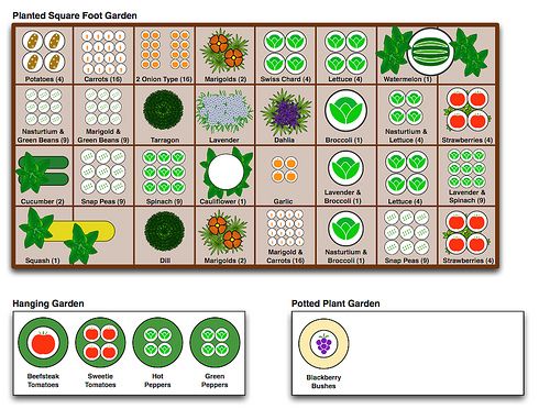 a square foot garden planner layout