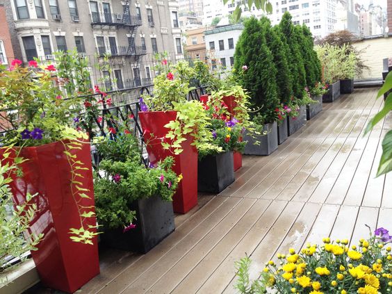 containers with flowers and plants grown on a terrace garden