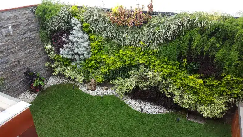 vertical garden house decoration