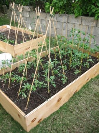 vertical plants grwon in a square foot garden