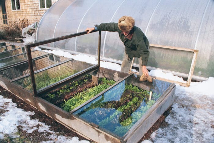 A top view of a person harvesting and storing plants in a top glass containers with snow all around