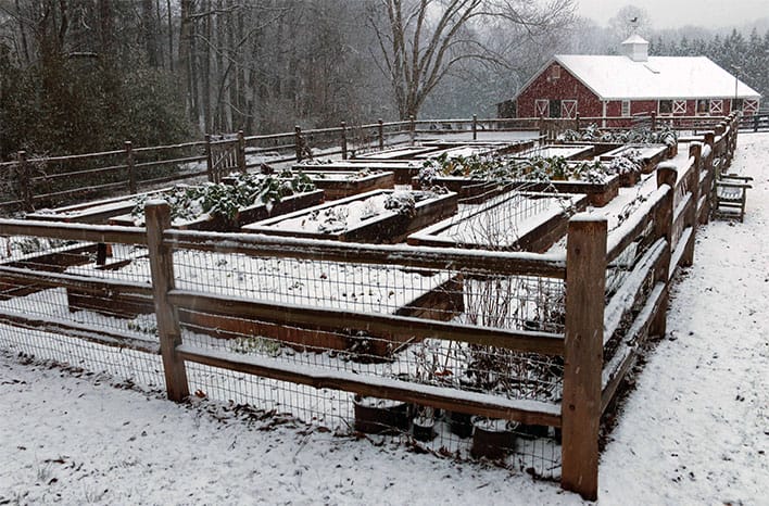 A view of a covered garden space in snowy winter time