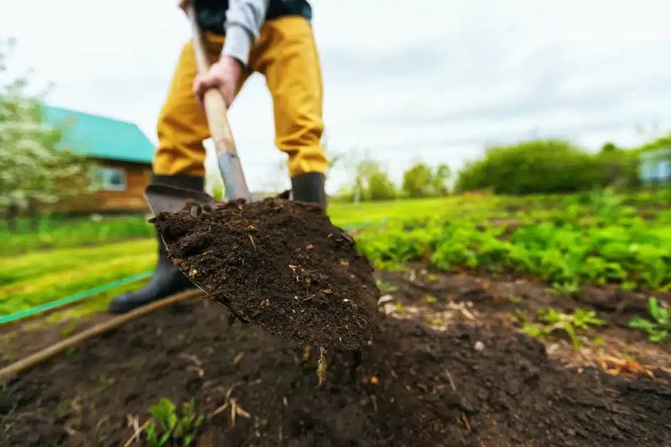 A view of a farmer using a shovel inside soil for gardening