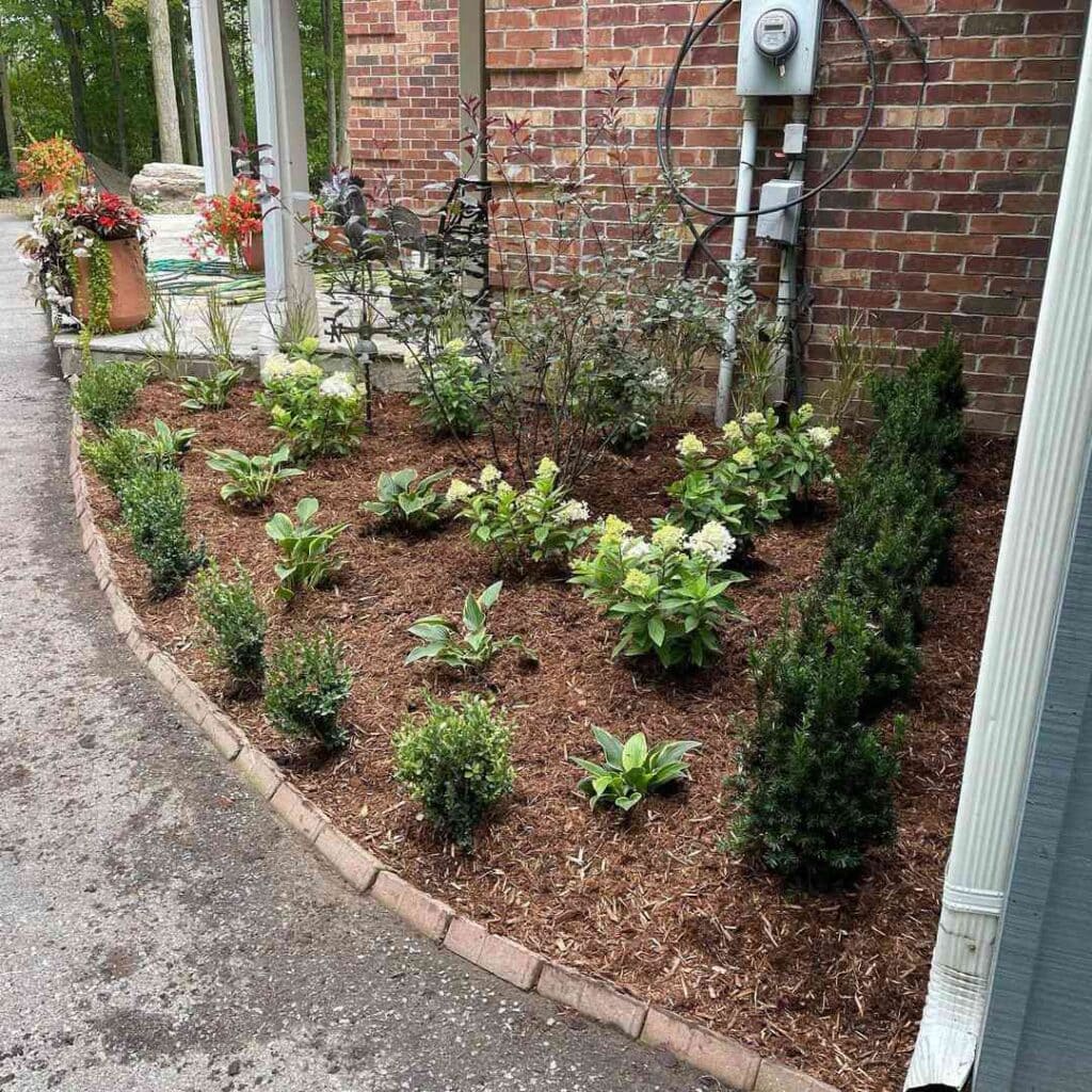 A view of a garden corner with small plants on it