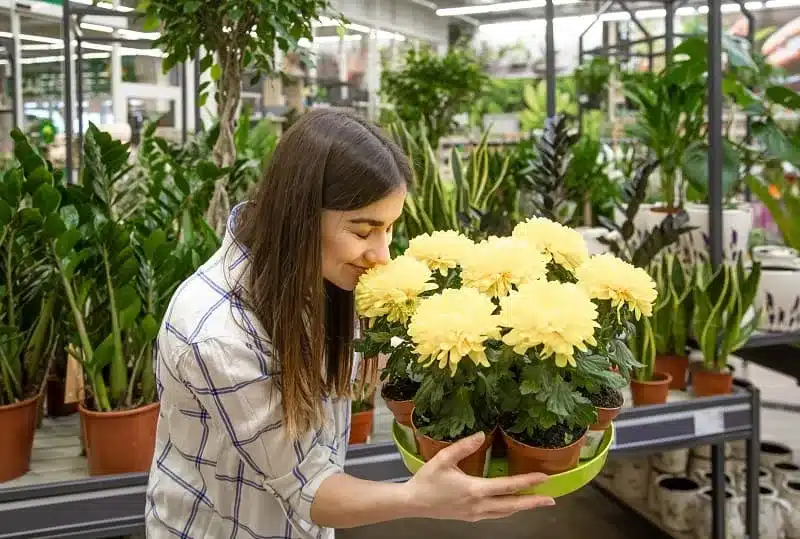 A view of a girl smelling yellow flowers at a gardening farm