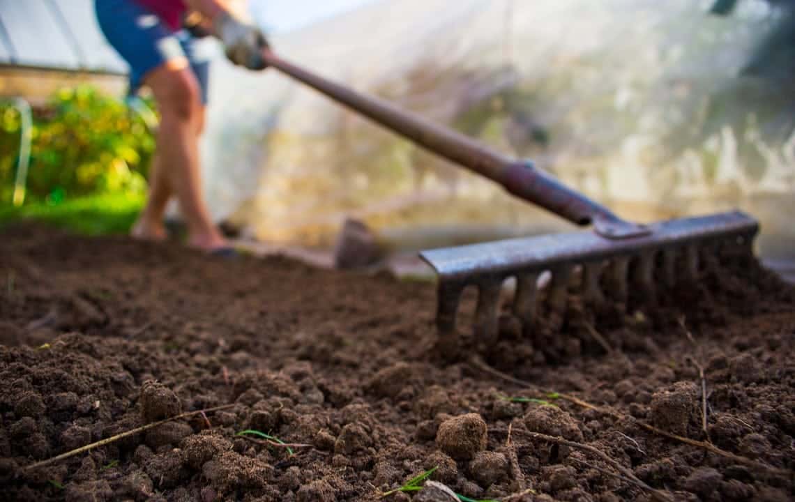 A view of a person preparing the soil with a garden tool