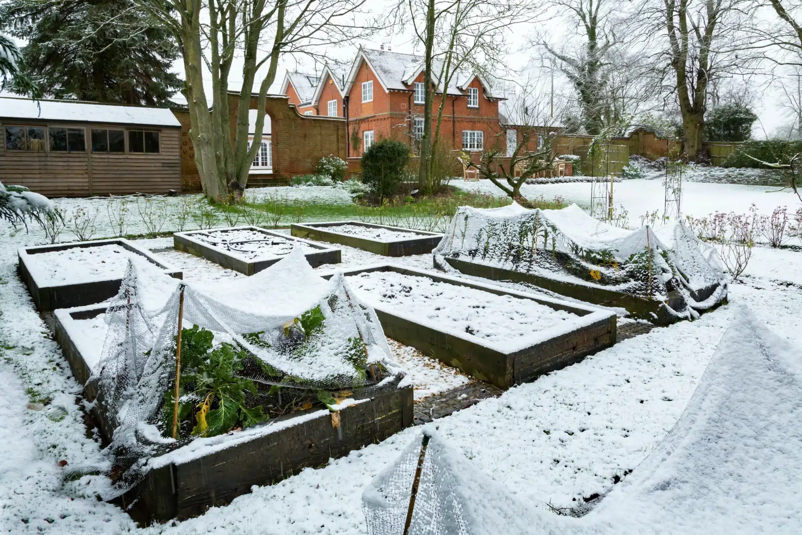 A view of a winter garden covered in snow