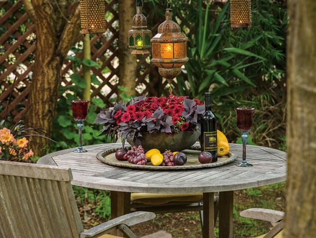 A view of bouquet and wine and fruit sin the middle of table inside a garden