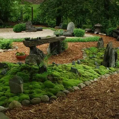 A view of moss garden