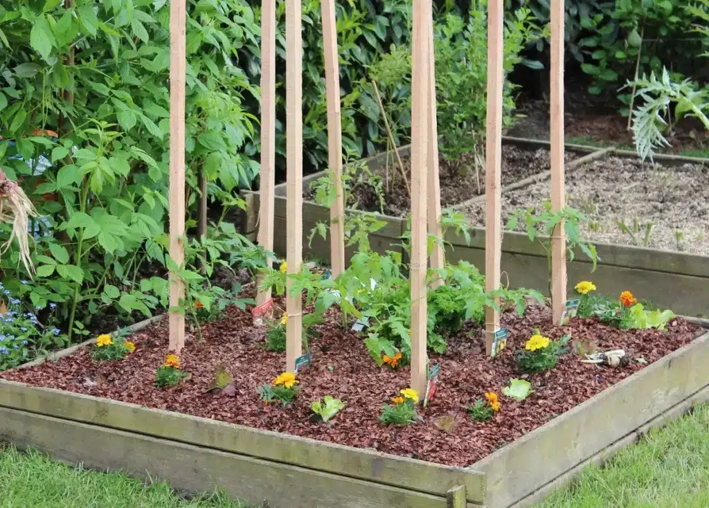 A view of sticks stuck inside the soil for electro gardening