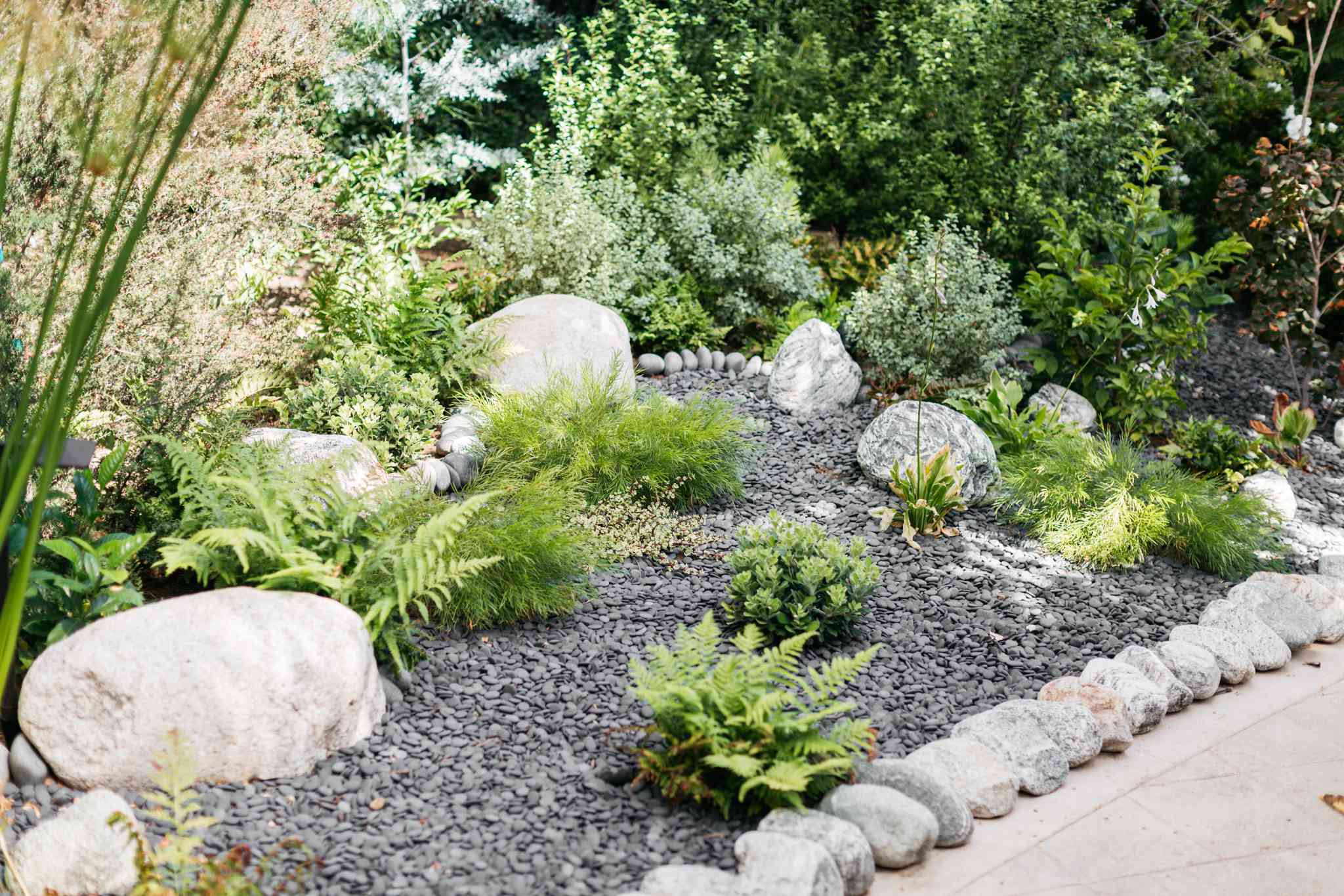 A view of a garden with rocks all around