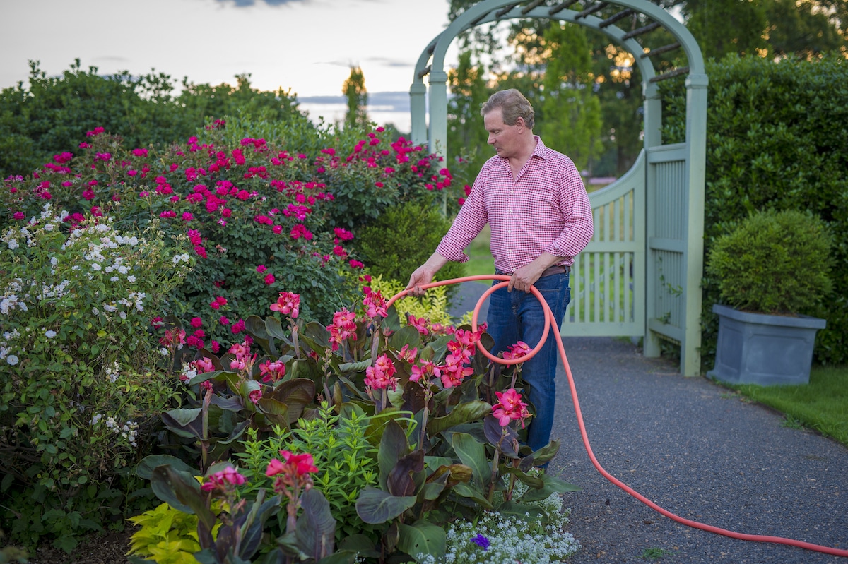 A view of a guy watering his plants