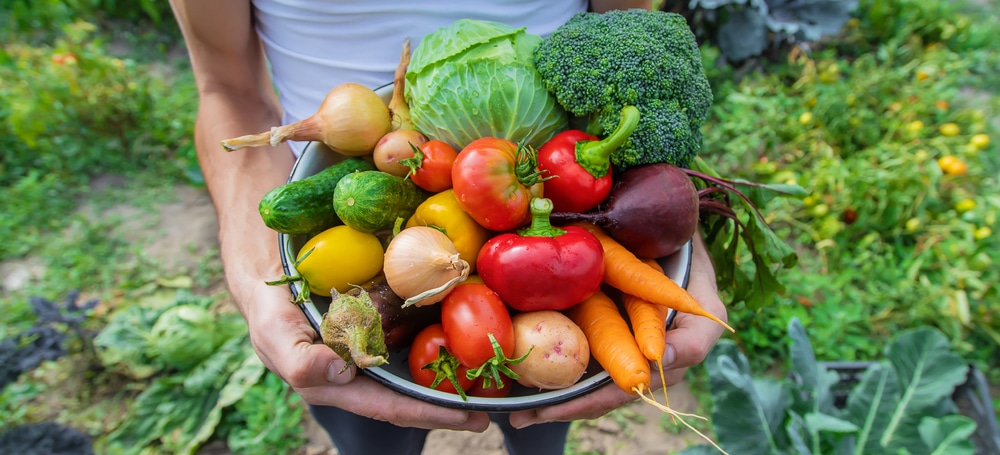 A view of a person holding a basket of veggies for gardening