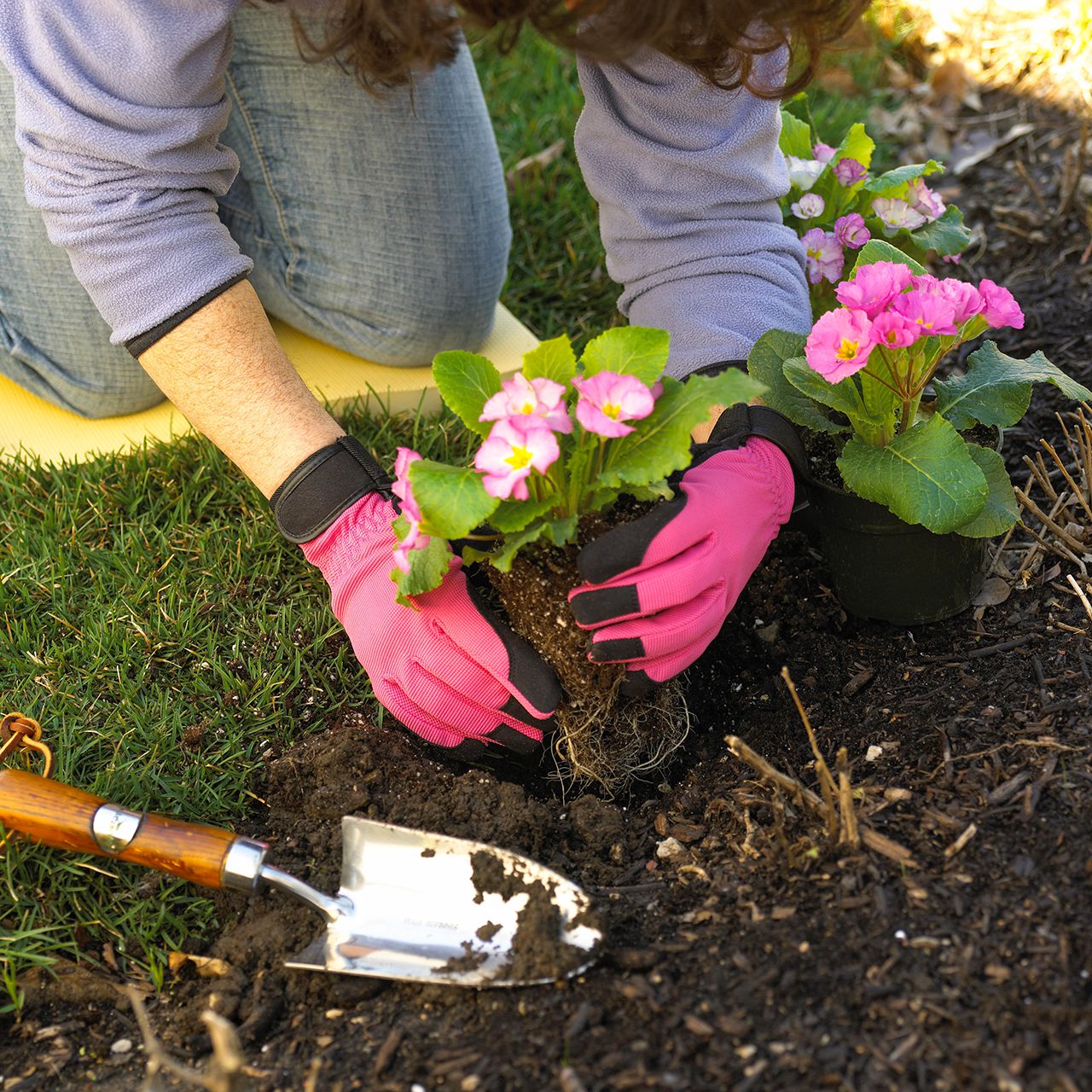 A view of a woman planting flower plants in gardens