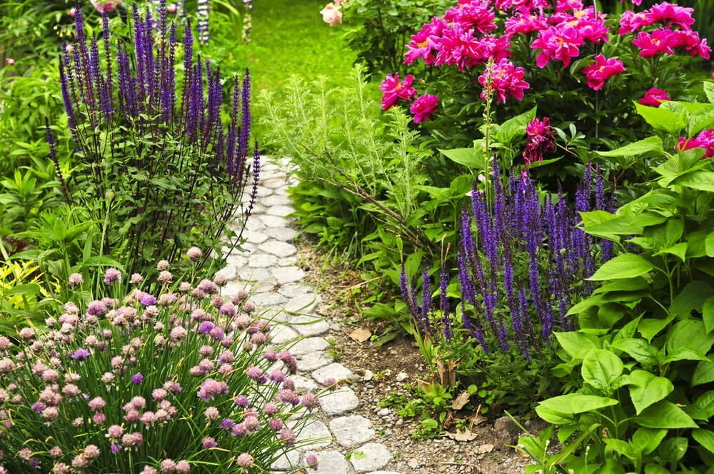 A view of an outdoor loaction with flowers