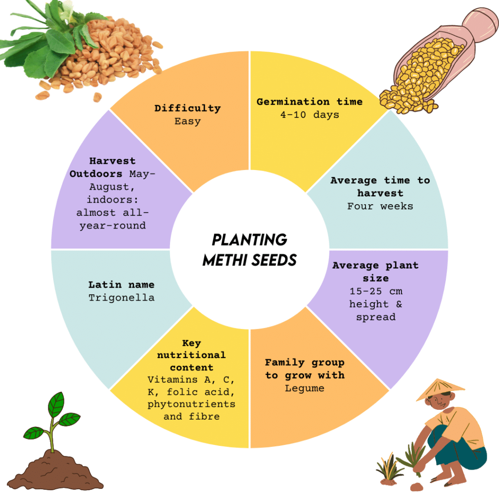 A view of growing notes and tips regarding fenugreek