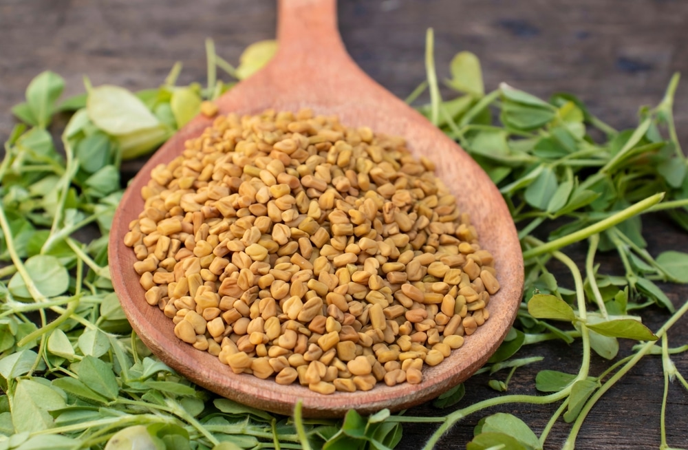 A view of methi seeds inside a wooden ladle