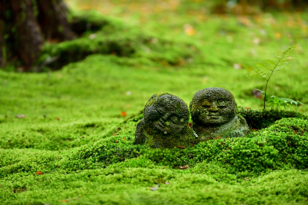 A view of moss garden with a stone statue