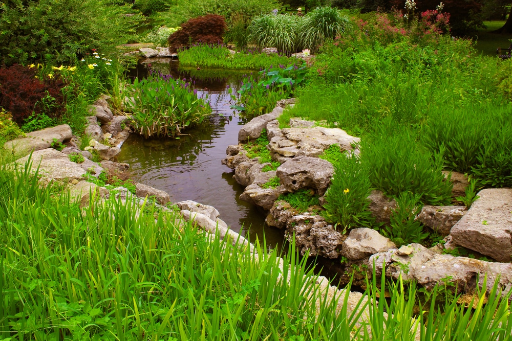 A view of stepping stones inside a garden