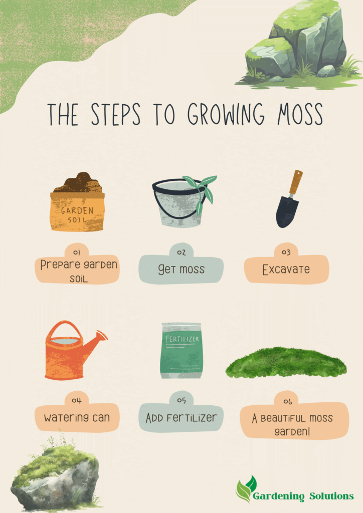 A view of the steps to grow moss