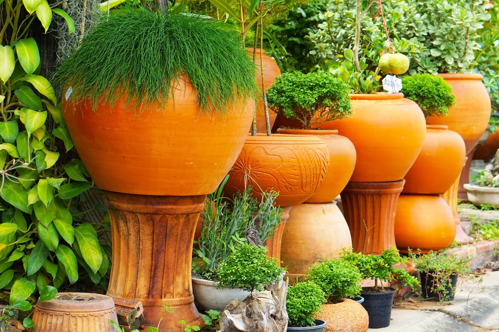 A view of urns inside a garden