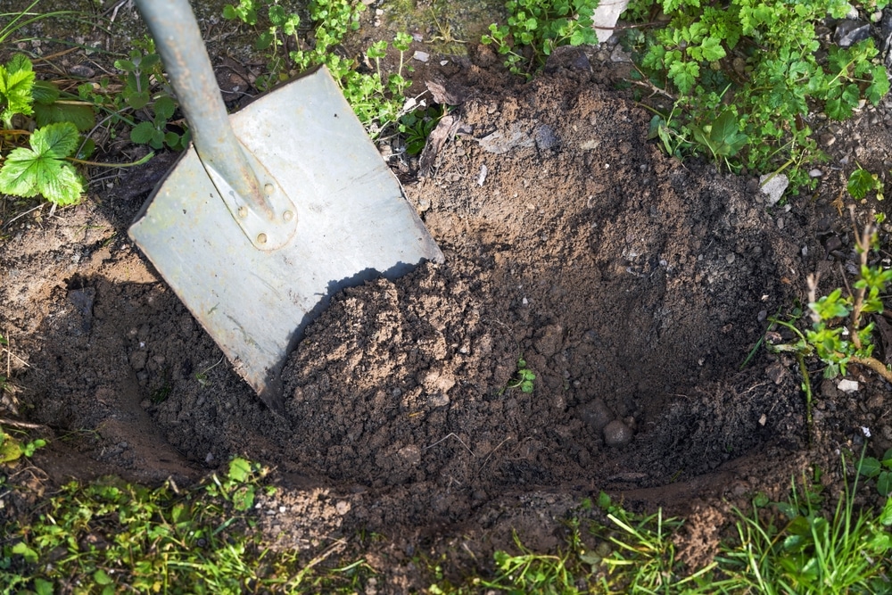 A view of a shovel inside soil