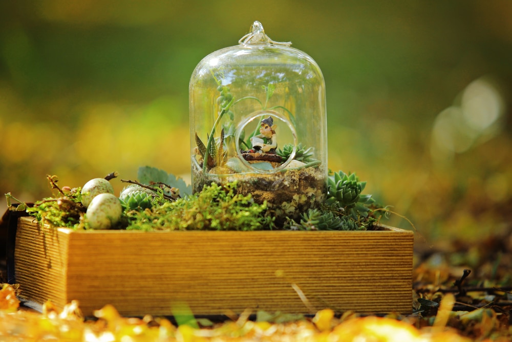 A view of a miniature fairy garden inside a small glass Terrarium 