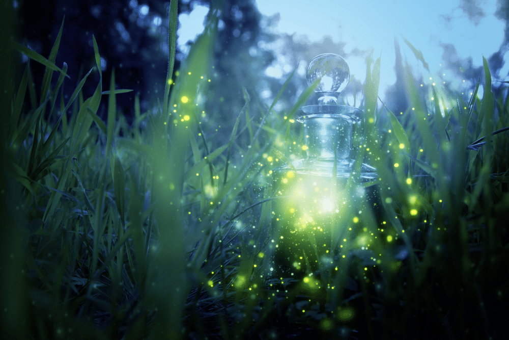 A view of magical fairy dust lights inside a glass jar in a garden