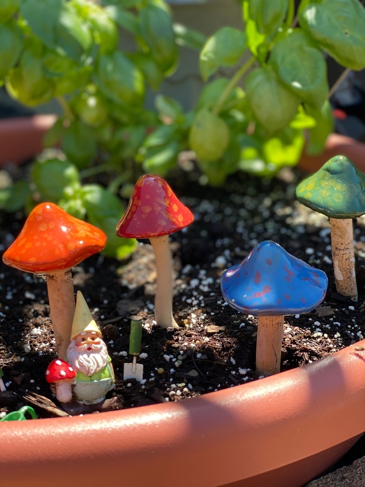 A view of toadstools with herbs in a miniature garden