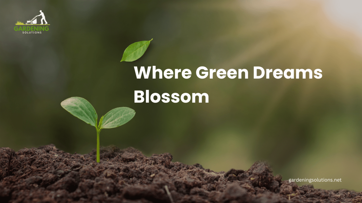 Features Images ( ) Features Images ( )