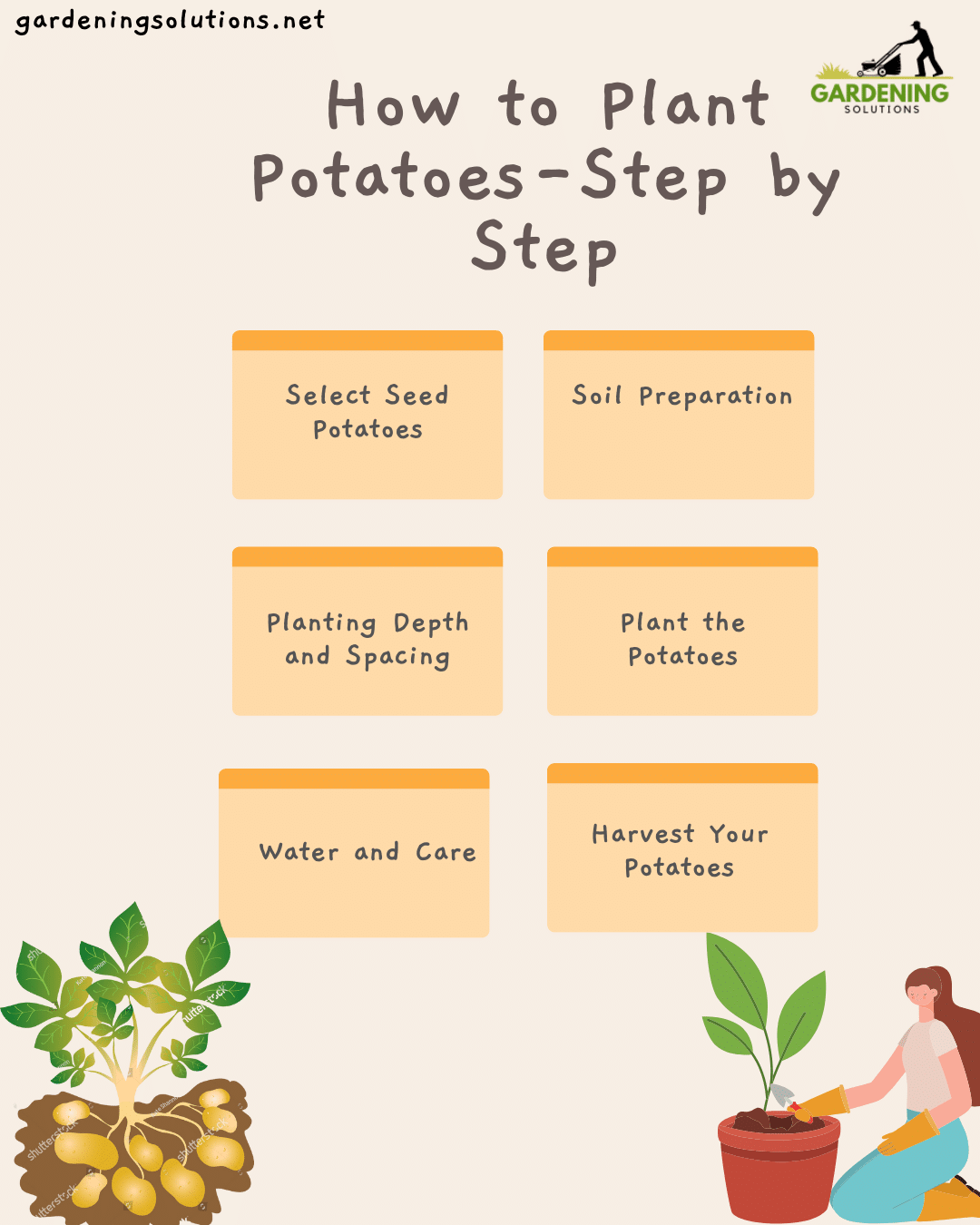 How to Plant Potatoes 